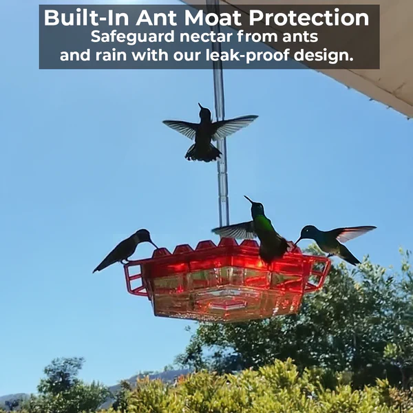 Ant-Proof Hummingbird Feeder with 30 Bee-Resistant Ports - Image 4