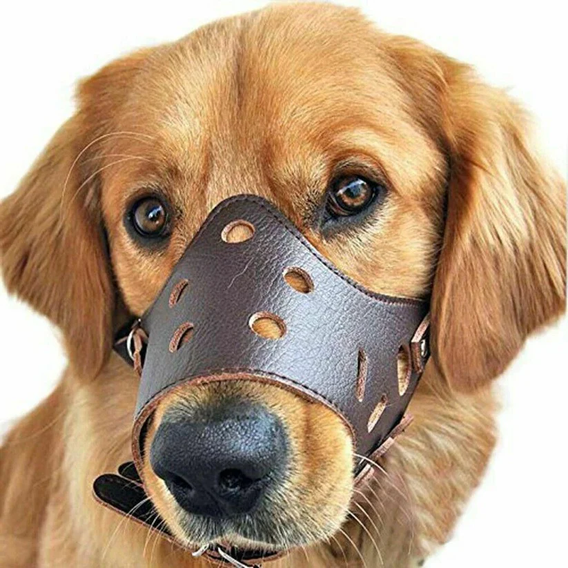 Breathable Dog Biting Muzzle Mouth Guard